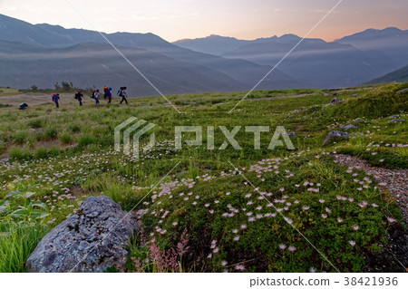 Mountain climber who goes to Tarohei in the Northern Alps in the morning haze 38421936