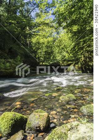 river rock forests 38421940