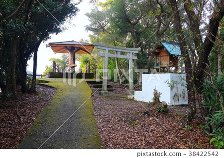 Hiwasa,大浜海岸惠比壽洞天文台,惠比壽東神社(已婚女神)“海龜游泳點” Hiwasa,大浜海岸惠比壽洞天文台,惠比壽東神社(已婚女神)“海龜游泳點” 38422542