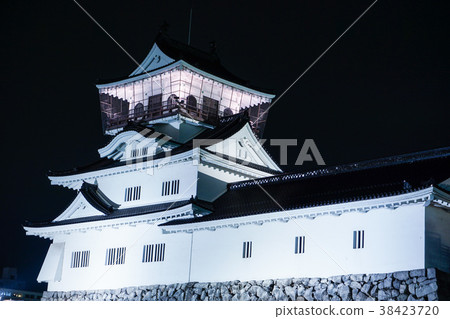 Japan Castle Toyama Castle Toyama Prefecture Toyama Prefecture 38423720