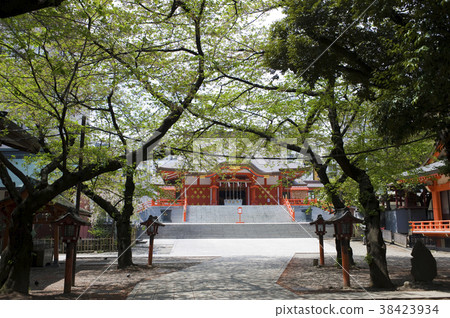 Hanazono shrine Hanazono shrine 38423934