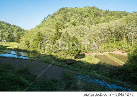 Small terraced fields north of Hiroshima prefecture Small terraced fields north of Hiroshima prefecture 38424275