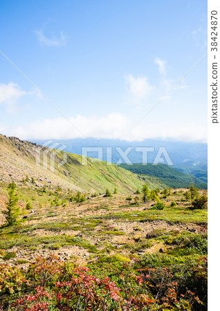 Scenery of Shiga Kusatsu Road (September) 38424870