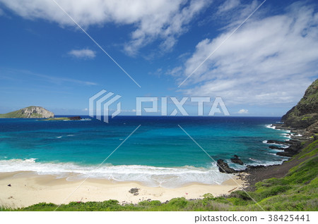 Hawaiian scenery (Makapuu beach) Hawaiian scenery (Makapuu beach) 38425441