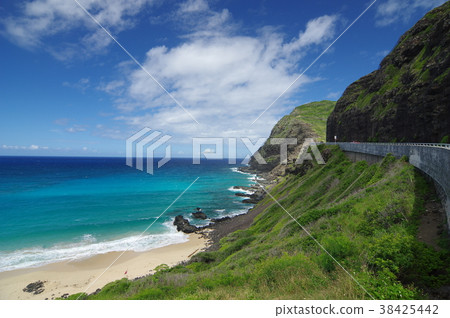 夏威夷風光(Makapuu海灘) 夏威夷風光(Makapuu海灘) 38425442