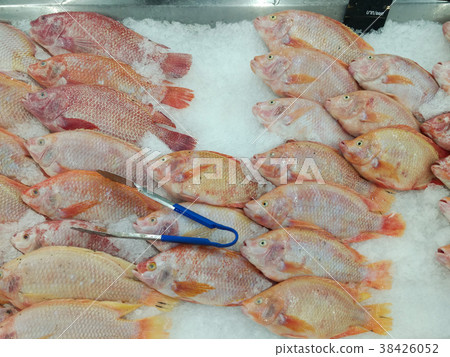 fish at market fish at market 38426052