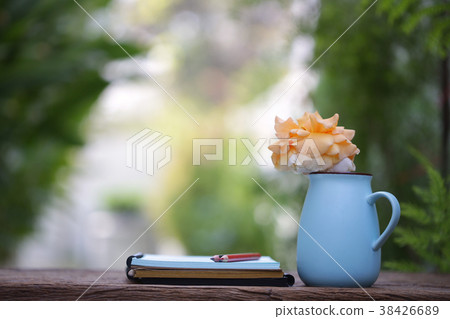 Orange Roe in blue pot with notebook Orange Roe in blue pot with notebook 38426689