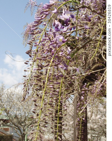 富士貨架 富士貨架 38426819