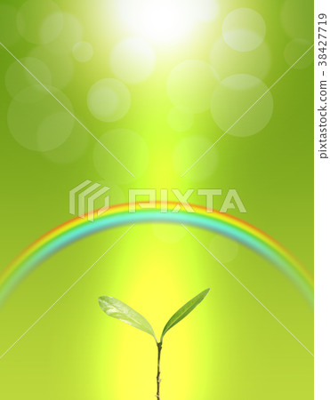 生態背景成長生態自然環境節能青春萌芽彩虹 38427719