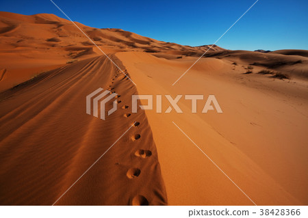 Sand desert Sand desert 38428366