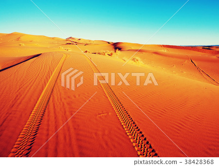 Sand desert Sand desert 38428368