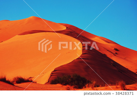 Sand desert Sand desert 38428371