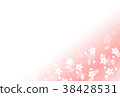 Cherry Blossoms	 38428531