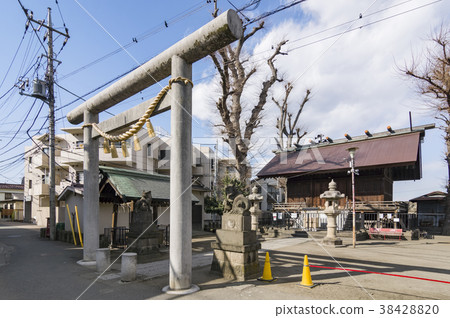 Futako Shrine Futako Shrine 38428820
