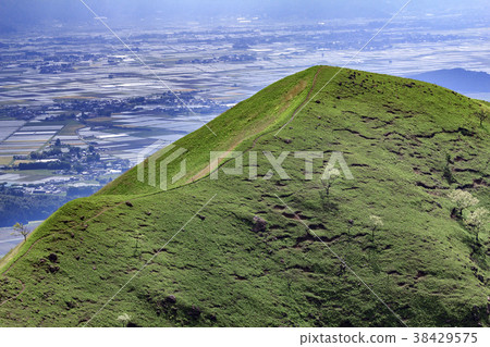 Grassland Kikuchi Aso Skyline 38429575