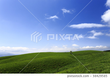 Grassland Kikuchi Aso Skyline 38429585