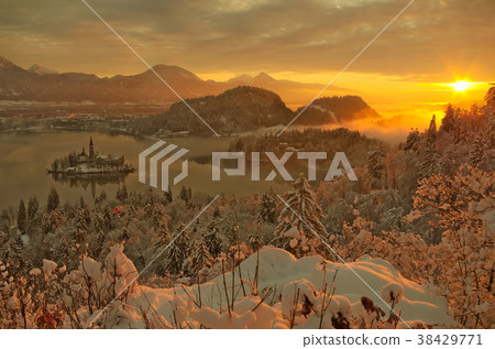 Winter sunrise at Bled lake with snow on the trees 38429771