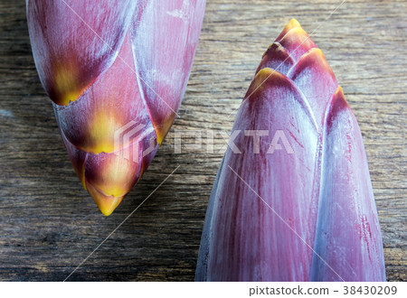 Silver bluggoe banana blossom Silver bluggoe banana blossom 38430209