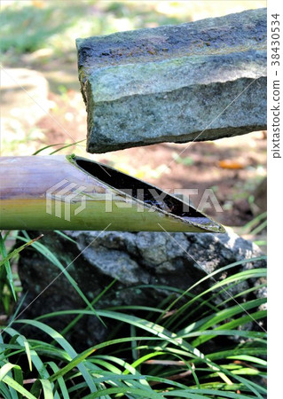 日本花園（Kanashi） 38430534