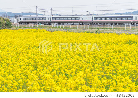 強姦花田小田急線有限公司快遞浪漫車30000形式EXEα 強姦花田小田急線有限公司快遞浪漫車30000形式EXEα 38432005