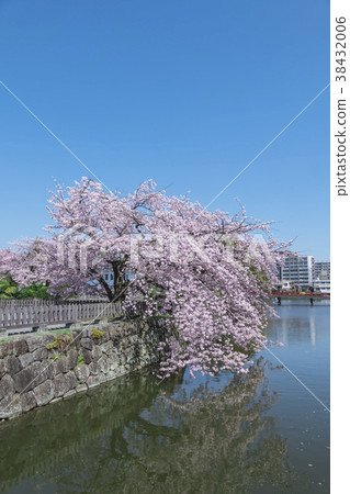 小田原城吉野西野 38432006