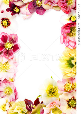 聖誕節羅斯背景垂直框架 38432497