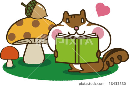 Squirrel reading a book 1 Squirrel reading a book 1 38433880