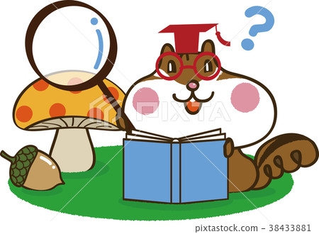 Squirrel reading a book 2 Squirrel reading a book 2 38433881