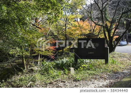 達克峽谷 38434440