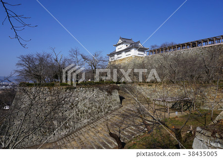 “岡山縣櫻花觀賞地”鶴山公園（津山城腳趾）“：Bikanaru 38435005