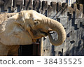 Elephant eating food with nose 38435525