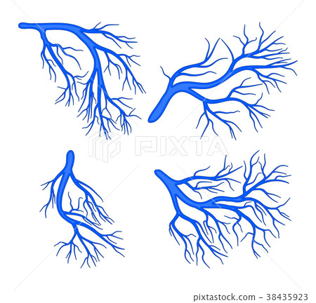human vessel blue set vector symbol icon design. human vessel blue set vector symbol icon design. 38435923