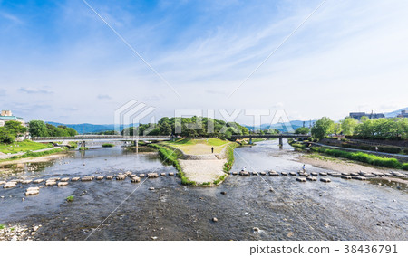 京都鴨川三角洲 38436791