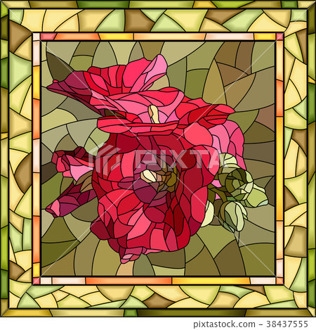 Vector illustration of flower red mallow. 38437555