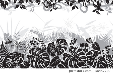 Tropical Black and White Pattern 38437720