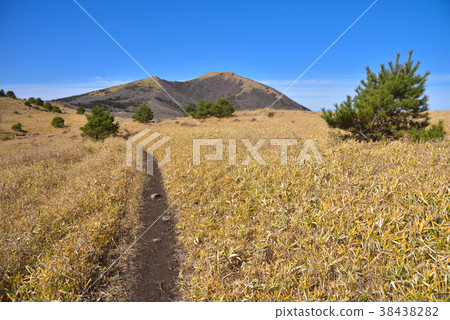 通往山的山路。 38438282