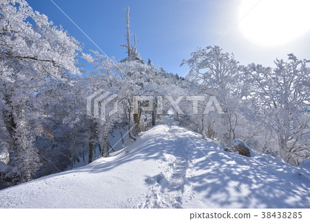 Omine山在冬天 38438285