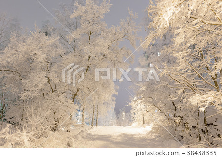 Snow covered trees in city Snow covered trees in city 38438335
