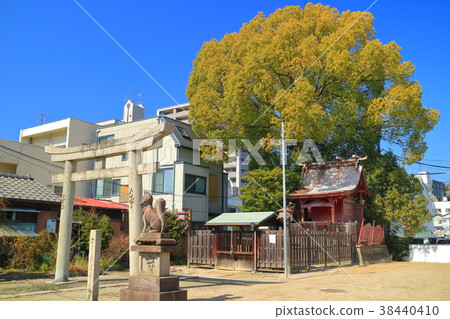 Dogo Inari Shrine 38440410