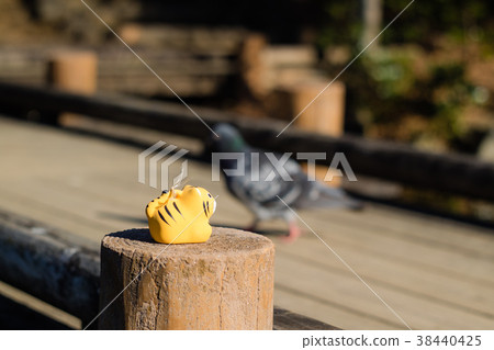 A Toy Tiger and a Pigeon A Toy Tiger and a Pigeon 38440425