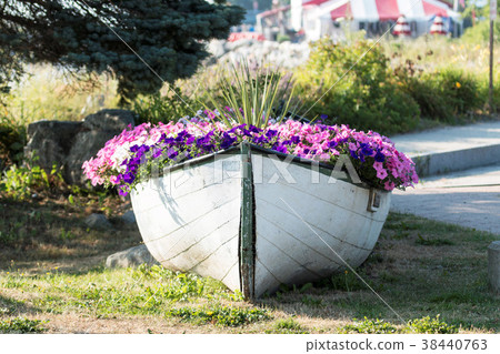 Old wooden boat used as a large flower pot Old wooden boat used as a large flower pot 38440763
