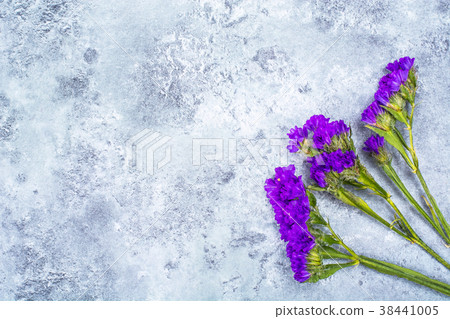 Dry flowers of kermek, limonium 38441005