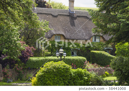 thatched roof English cottage in flowering garden 38441008