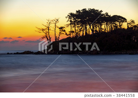 Pine, Myeongseon-do, Ulju-gun, Ulsan 38441558