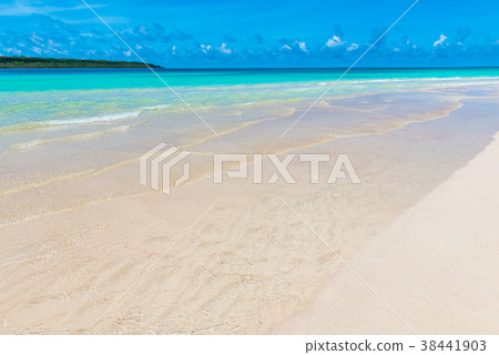 宮古島海 38441903