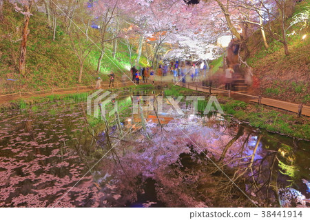 Takataka Castle Ruins at night 38441914