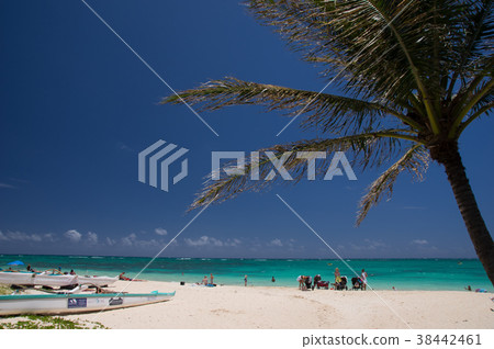 夏威夷風光(Lanikai海灘) 夏威夷風光(Lanikai海灘) 38442461