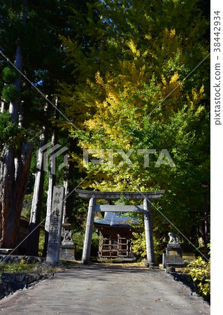 Gokayama Ainokura Gassho Settlement Village Landlord Shrine Autumn leaves Gokayama Ainokura Gassho Settlement Village Landlord Shrine Autumn leaves 38442934
