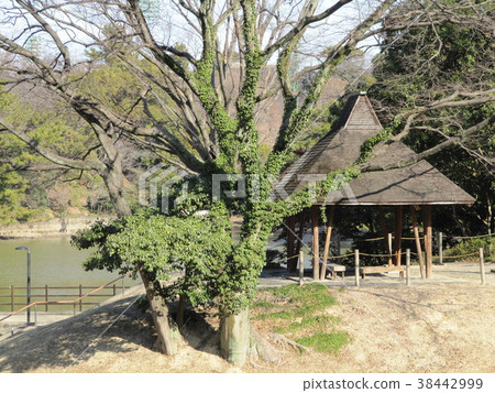 Park rest area 38442999