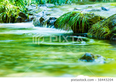 夏季山間溪流 38443204